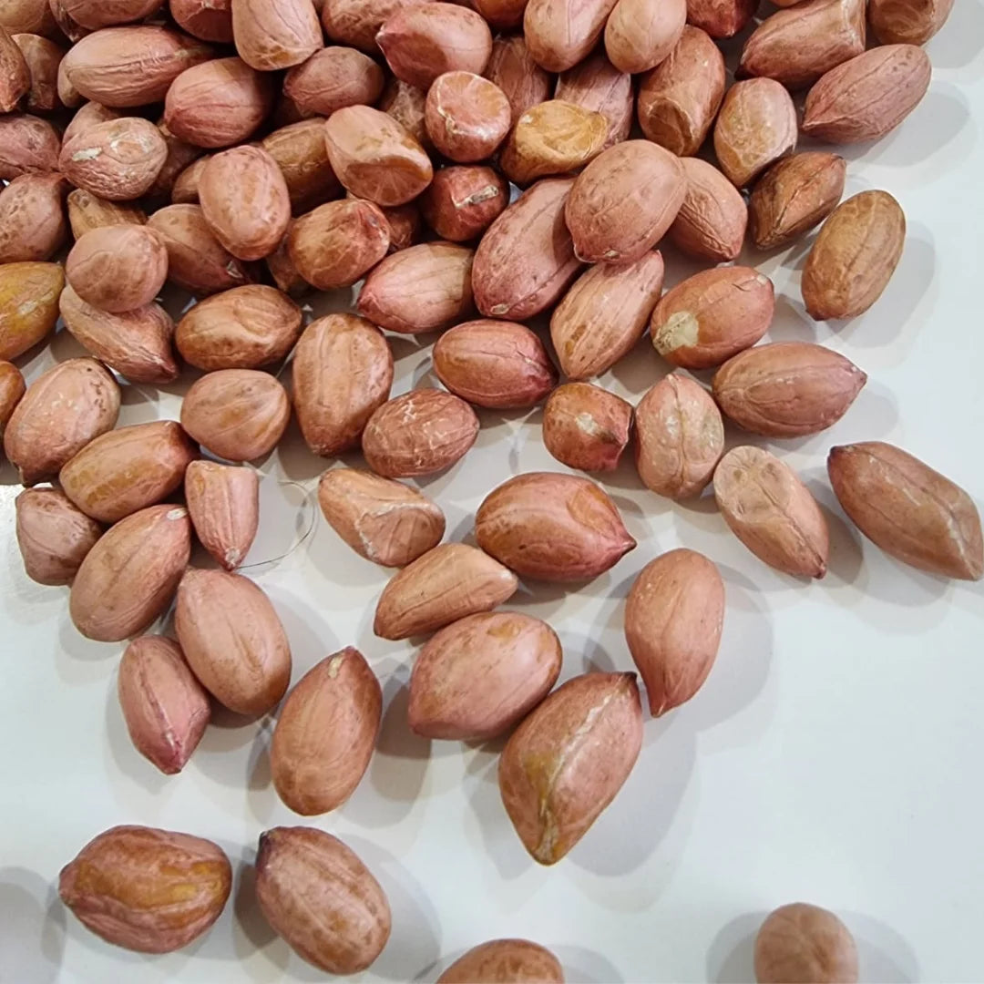 Organic Dried GMO Indian Red Skin Raw Peanuts Bulk Export Quality Uniform Size Directly From Gujarat India
