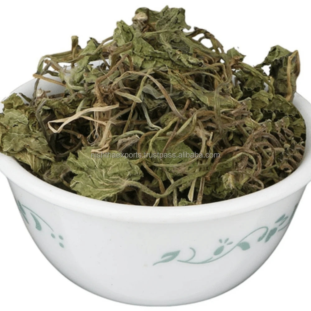 Indian Pennywort Bacopa Monnieri Dried Brahmi Booti Saraswati Leaves Dried Raw Herbs Wholesale Herbal product