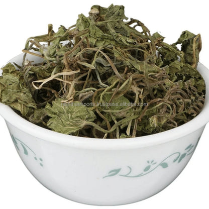 Indian Pennywort Bacopa Monnieri Dried Brahmi Booti Saraswati Leaves Dried Raw Herbs Wholesale Herbal product