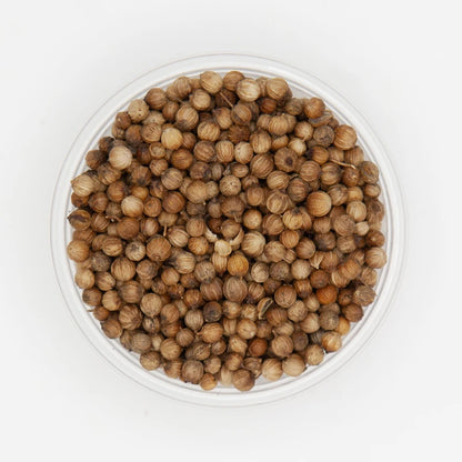 High Quality Raw and Dried Coriander Seeds Good Ad Drying Process Single Spices & Herbs