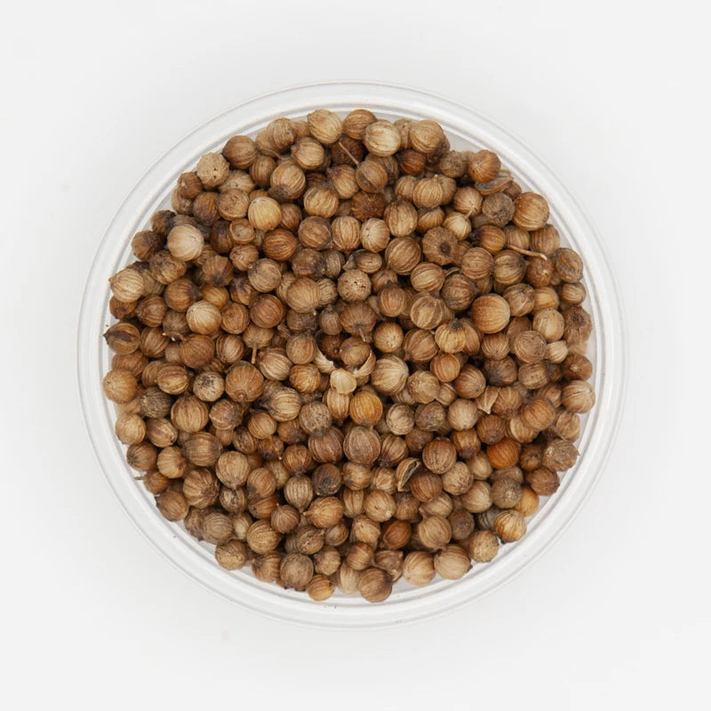 High Quality Raw and Dried Coriander Seeds Good Ad Drying Process Single Spices & Herbs