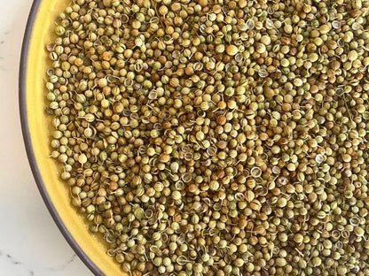 Coriander Seeds Premium Quality
