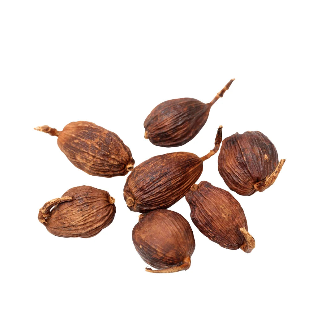 Best Selling Competitive Price Vietnam Factory Premium Quality Black Cardamom Bulk Supply