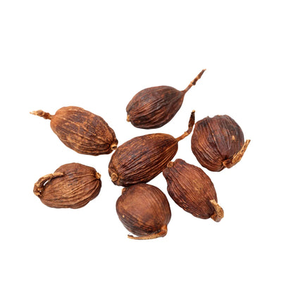 Best Selling Competitive Price Vietnam Factory Premium Quality Black Cardamom Bulk Supply