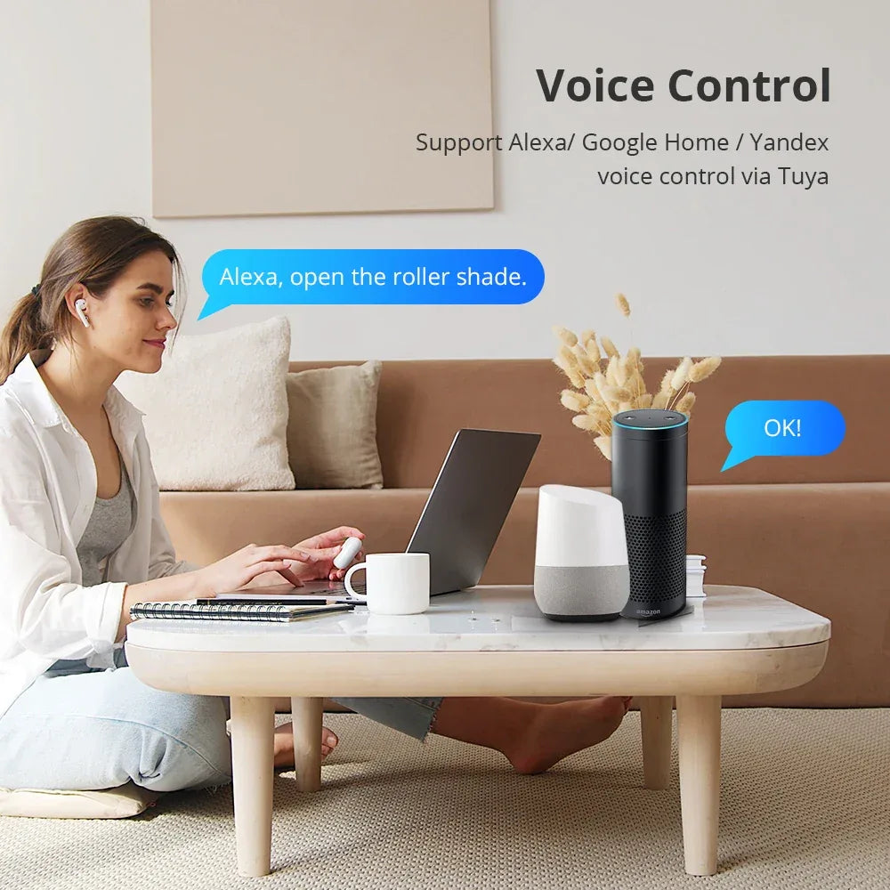 Zemismart WiFi Electric Roller Shade Motor for 17mm 25mm 28mm Tube Built-in Battery Work with Tuya Alexa Google Home Alice Voice