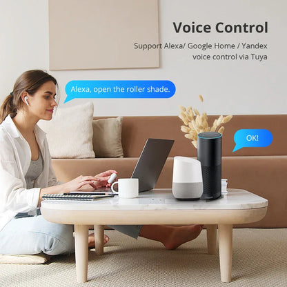Zemismart WiFi Electric Roller Shade Motor for 17mm 25mm 28mm Tube Built-in Battery Work with Tuya Alexa Google Home Alice Voice
