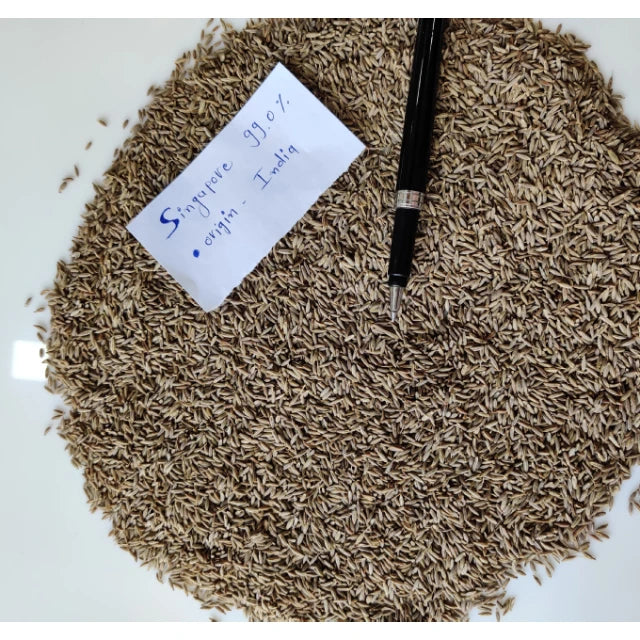 Low Price India 99% Cumin Seeds Natural Raw AD Dried Food Grade Best Quality Bhimani Exports 1 Year Shelf Life