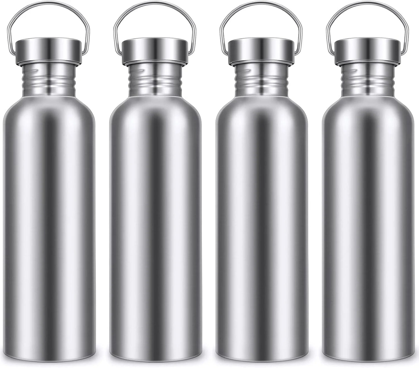 Stainless Steel Double-Walled Sports Bottle with Handle, Metal Reusable Water Bottle with Lid, School, Hiker, Gift