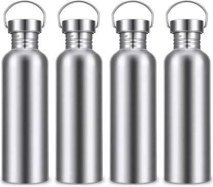 Stainless Steel Double-Walled Sports Bottle with Handle, Metal Reusable Water Bottle with Lid, School, Hiker, Gift