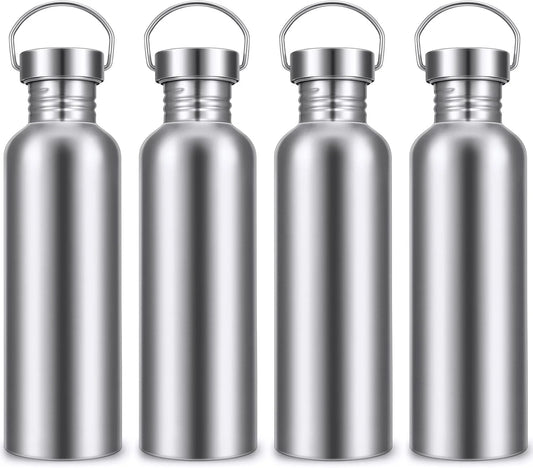 Stainless Steel Double-Walled Sports Bottle with Handle, Metal Reusable Water Bottle with Lid, School, Hiker, Gift by PDG ibma