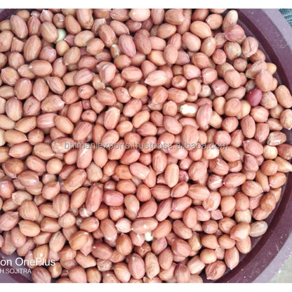 Leading Exporter of Best Quality Red Skin Dried Raw Peanut Seeds From India for Bulk Supply & Reselling APEDA Certified