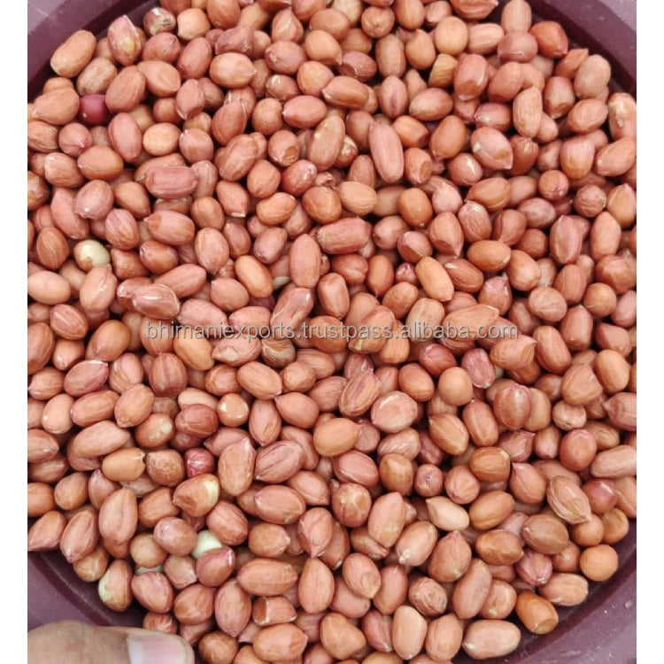 Leading Exporter of Best Quality Red Skin Dried Raw Peanut Seeds From India for Bulk Supply & Reselling APEDA Certified