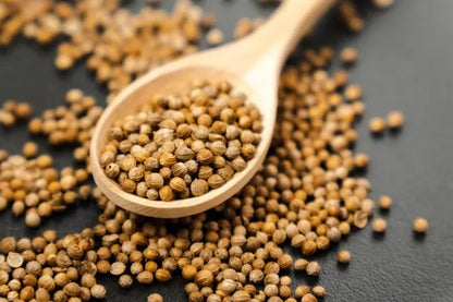 Coriander Seeds Premium Quality