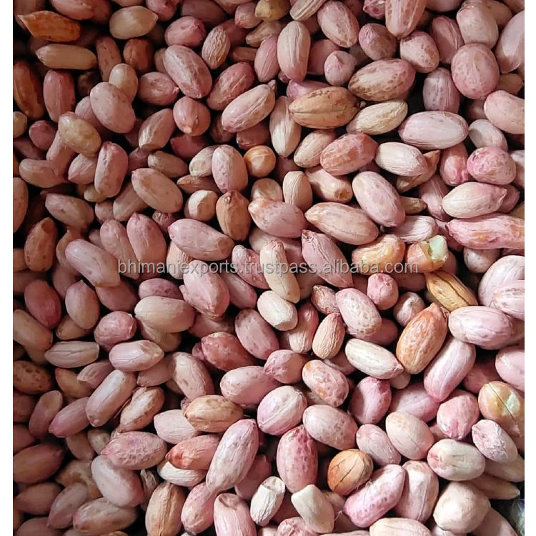 Leading Exporter of Best Quality Red Skin Dried Raw Peanut Seeds From India for Bulk Supply & Reselling APEDA Certified