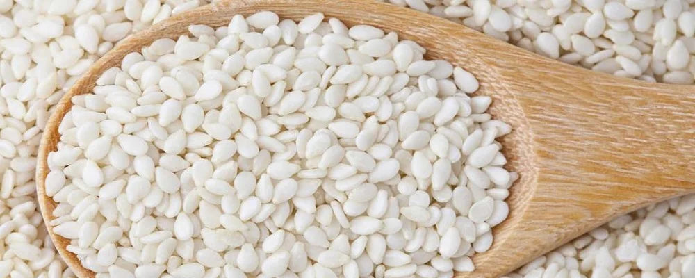 Organic Fresh White Hulled Sesame Seed 99.90 Purity Grown with Care 25 KG