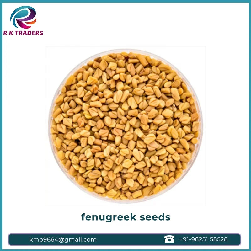 High Quality Traditional Indian Fenugreek Seeds Single Spices Herb in Bulk Dried AD Raw Processing Round 5kg