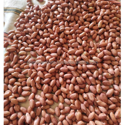 Wholesale Natural Brown Skin Raw Dried Peanut Kernels Bulk Grade GMO Free 25/30/50kg 40kg Jute Bags APEDA Certified India Low