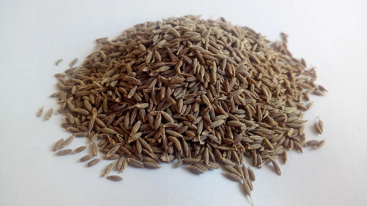 Jiyan Food Ingredients Cumin Seeds Singapore Quality 99% Grade AD Processed Dried Raw Curry Spice India Food Safety Certified