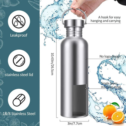 Stainless Steel Double-Walled Sports Bottle with Handle, Metal Reusable Water Bottle with Lid, School, Hiker, Gift