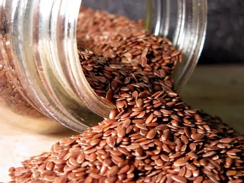 Ethically Sourced a Grade Flax Grains Rich Fiber Inexpensive Bulk Export Raw Dried Style AD Drying Process