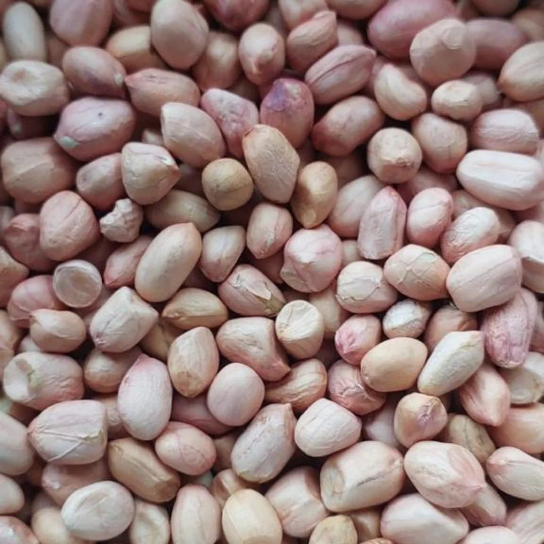 Pure Indian Peanut Premium Java Peanuts Unsalted Natural Wholesome Snack Crispy Fresh Groundnuts Raw Shelled Peanuts Bulk