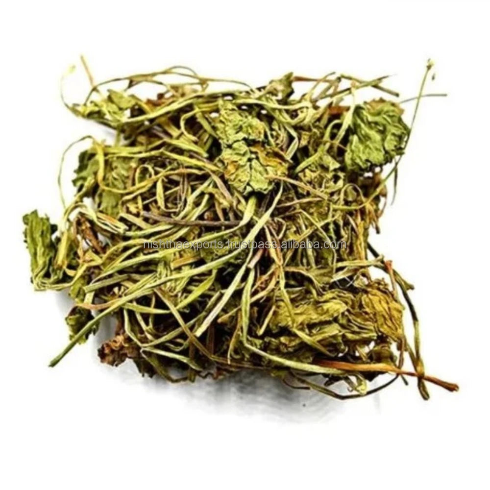 Indian Pennywort Bacopa Monnieri Dried Brahmi Booti Saraswati Leaves Dried Raw Herbs Wholesale Herbal product