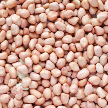 High Quality Organic Indian Java Groundnut Halves Pesticide-Free Dried Raw Peanuts Kernels Jumbo Size Food-Grade 1kg 24 Months