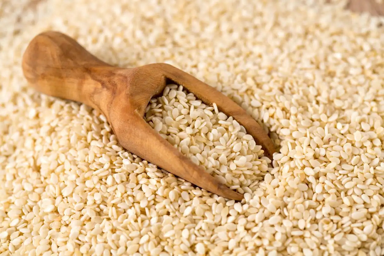 Organic Fresh White Hulled Sesame Seed 99.90 Purity Grown with Care 25 KG