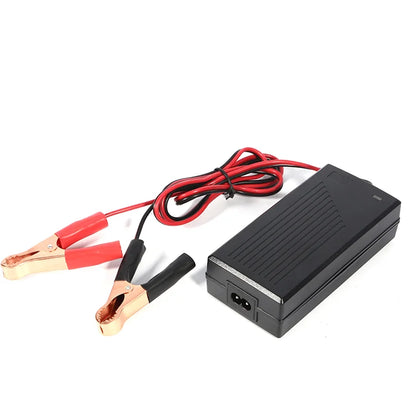 16.8v 1a 2a Li-ion Battery Charger 12.6v 2a 21v 25.2v 29.4v 1a Lithium Battery for Battery Packs Scooter Ebike Bicycle