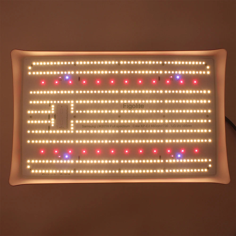Figolite 240W Mix 660nm 730nm Uv 395nm Full Spectrum Led Grow Light for Indoor Growing