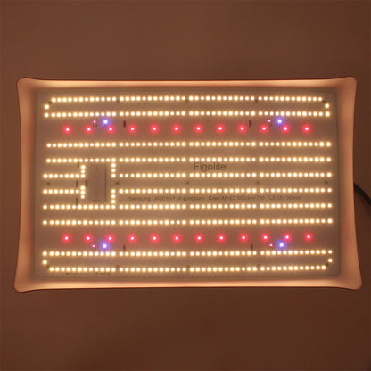 Figolite 240W Mix 660nm 730nm Uv 395nm Full Spectrum Led Grow Light for Indoor Growing
