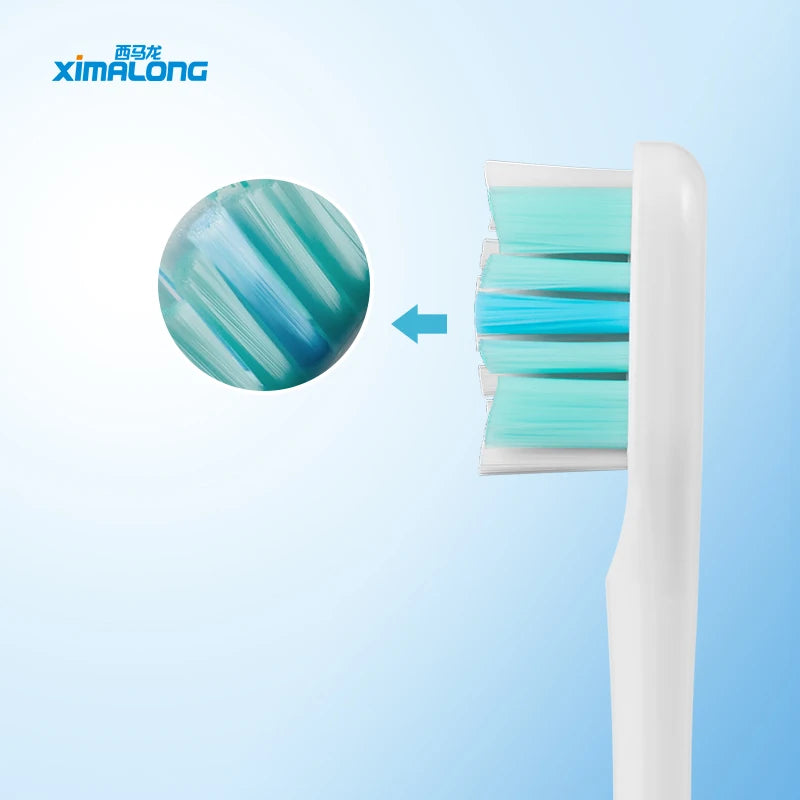 Hot Selling Changeable Oral Care Replacement Electrical Toothbrush Heads