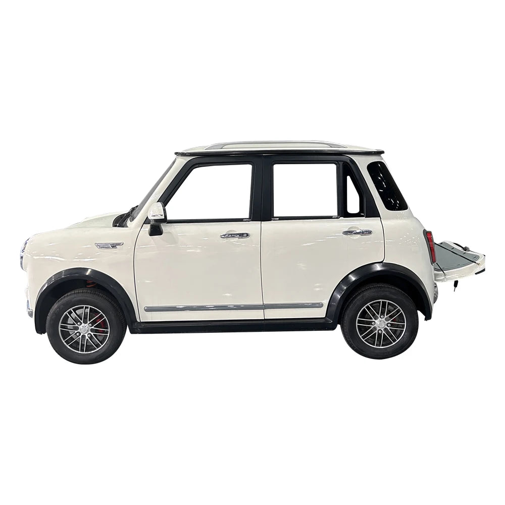 Adults 100A Cheap Electric Car Mini Small Cars for Sale