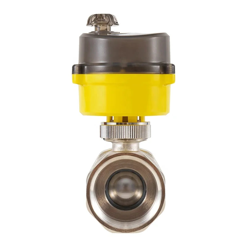 Stainless Steel Electric Ball Valve 2-way Water Valve with Power Adapter Automatic Return Setting Electric Valve by PDG ibma