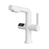Temperature Display Bathroom Faucet Black Basin Washbasin Hot and Cold Water Faucet