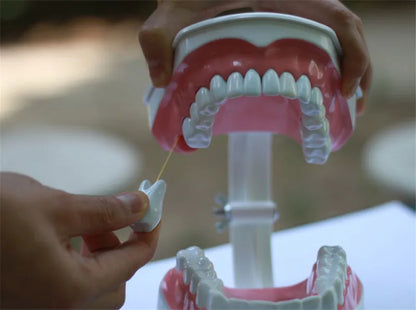 G Type Plastic Dental Toothbrush for Effective Brushing Multi-Purpose Teeth Whitening Accessory