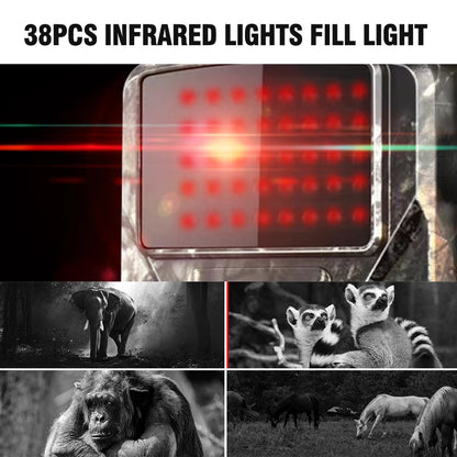 1080P FHD Hunting Trail Camera Outdoor IP66 Waterproof Hunting Cameras With IR Night Hunting Thermo Vision Camera De Chasse Caza