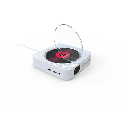 Remote Control Portable Home DVD Player With CD VCD Function