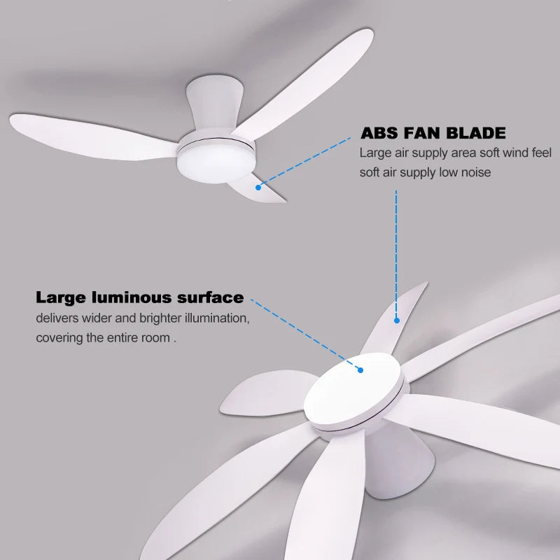 Poland in Stock Modern Dual Finish Blades 6-Speed Quiet DC Motor 3CCT LED Remote Control Patio Garage Ceiling Fan with Lights