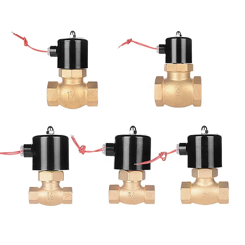 Factory Customized High Temperature Resistant Brass AC220V DN15 Water vapor pilot Solenoid Valve for Pass Steam by PDG ibma
