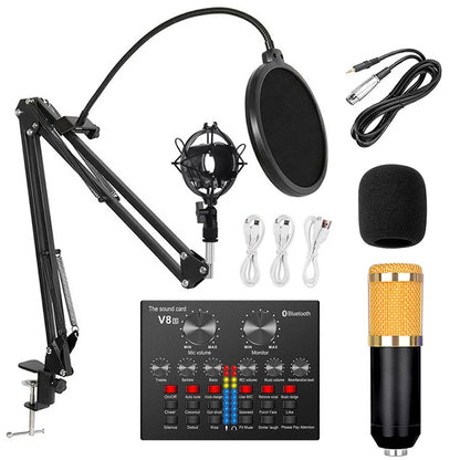 Professional Multifunction Condenser Microphone V8S Sound Card Audio Recording  BM800 Cantilever Bracket Set