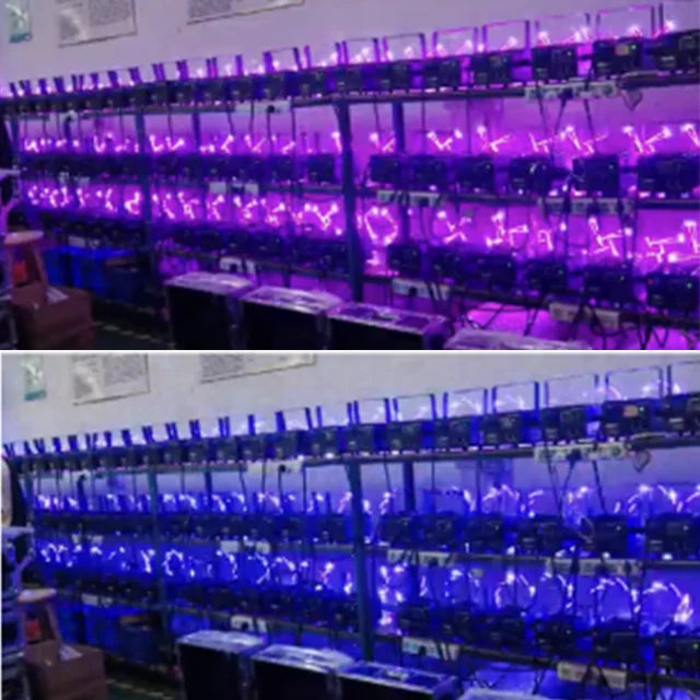 8W RGB Laser Light Professional Stage Moving Head Lasers  System With DMX and ILDA for Wedding Ceremony Night Club