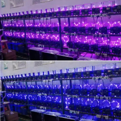 8W RGB Laser Light Professional Stage Moving Head Lasers  System With DMX and ILDA for Wedding Ceremony Night Club