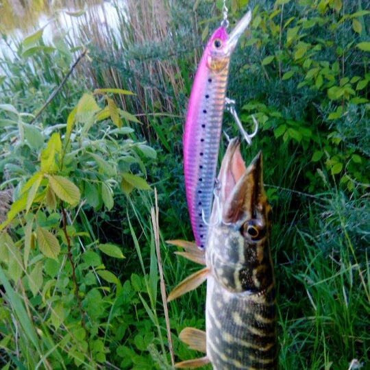 Stocked Traditional Floating Minnow 130mm 20g Diving Depth 1.8m for Pike Bass Perch Fishing VMC Hook