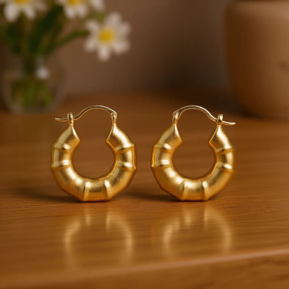 Gold Plated Geometric Hoop Earrings For Women Trendy Fashion Jewelry Alloy Earrings 18K Gold Finish