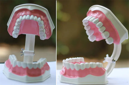 G Type Plastic Dental Toothbrush for Effective Brushing Multi-Purpose Teeth Whitening Accessory