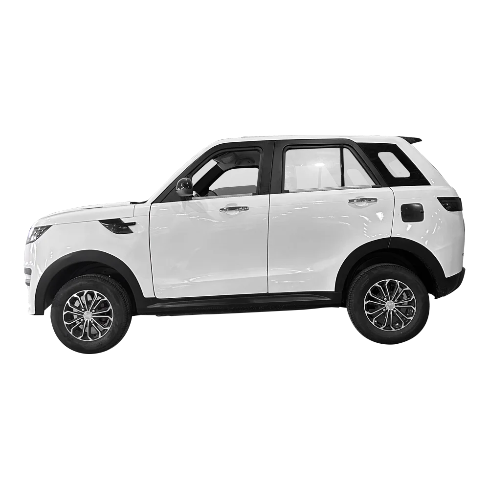 2024 Hot Sale Electric Car 360KM Range Mini EV Cheap Price