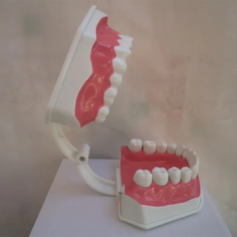 G Type Plastic Dental Toothbrush for Effective Brushing Multi-Purpose Teeth Whitening Accessory