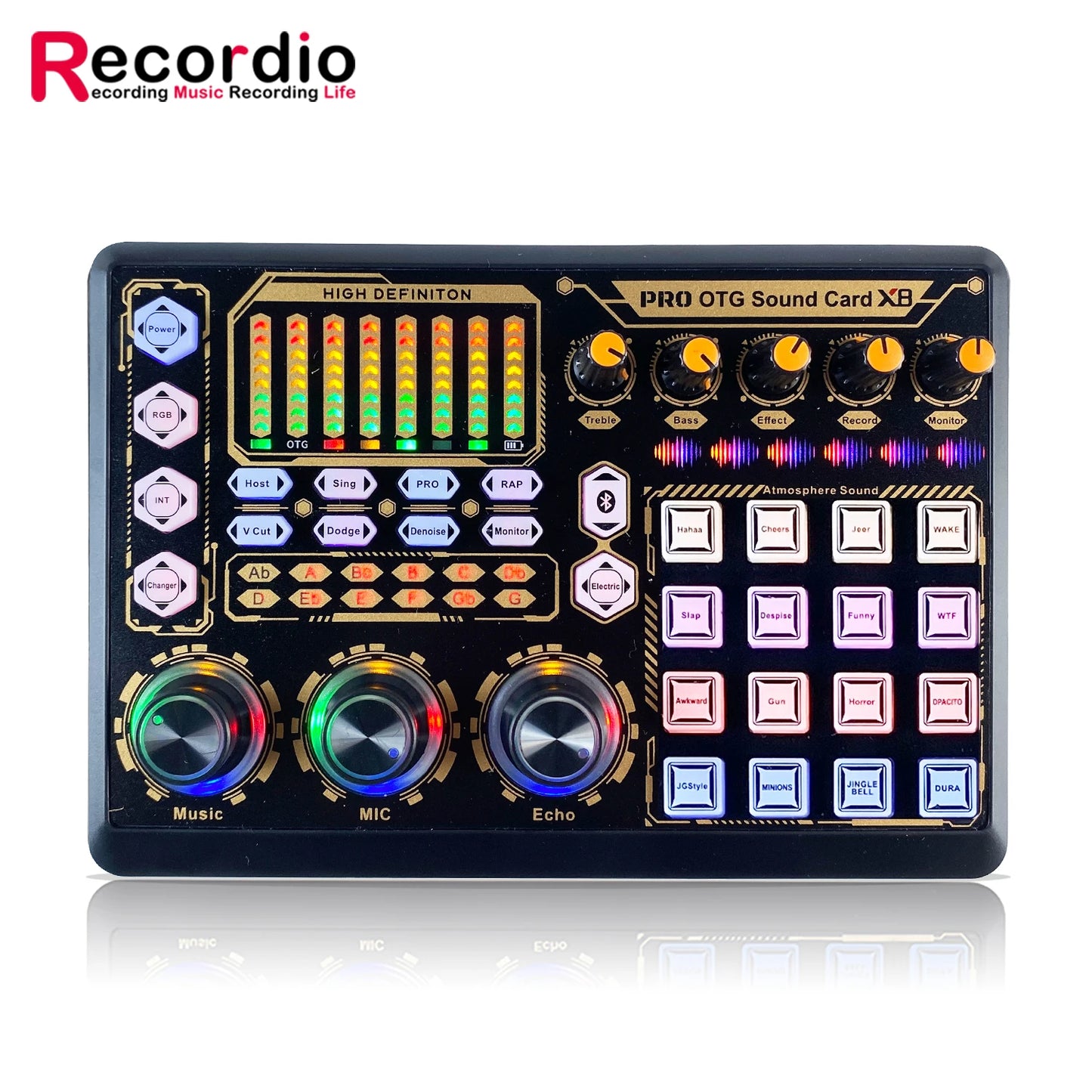 GAM-800R Professional Condenser Microphone R8 Sound Card Set for Webcast Live Recording