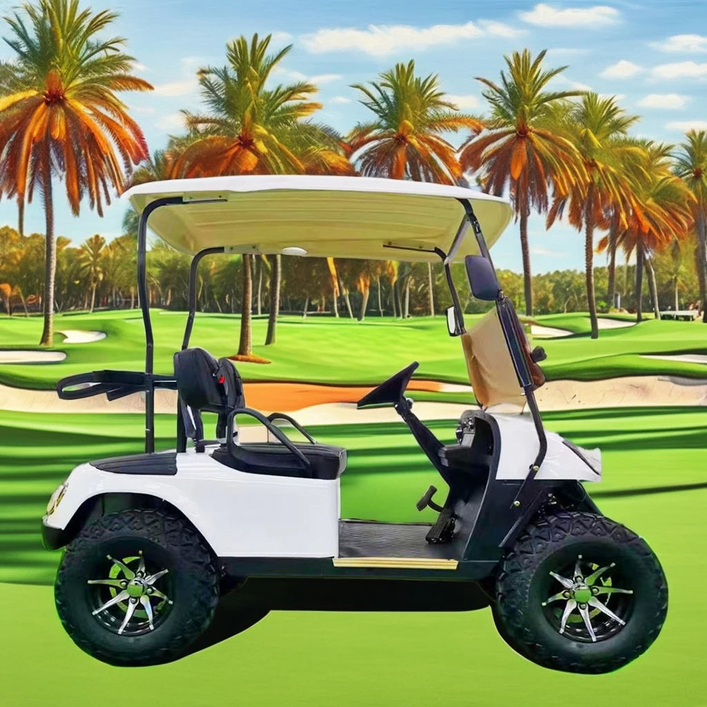 All-Terrain Electric Golf Cart for Adults 2-Seater Street Legal 3.5KW 60V 70-90km Range Beach Cart for Hunting Buggy